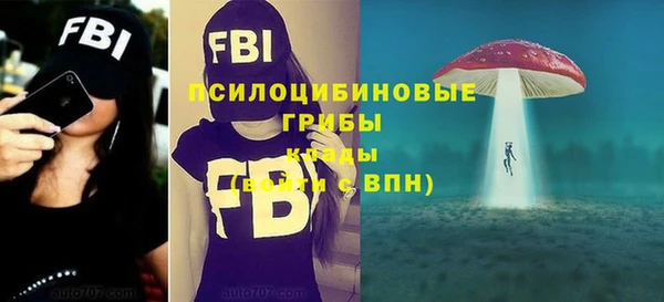 меф Зеленодольск
