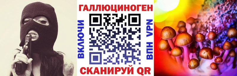 Купить  Томари  Галлюциногенные грибы GOLDEN TEACHER 