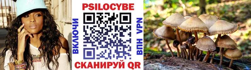 Псилоцибиновые грибы ЛСД Томари