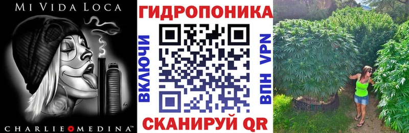 Купить закладки  Томари  Бошки марихуана SATIVA & INDICA 